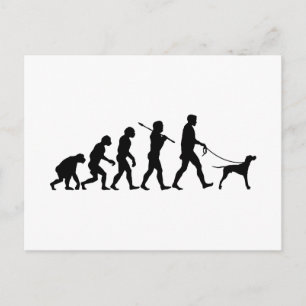 English Pointer Postkarte