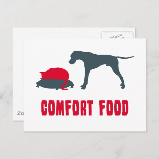 English Pointer Postkarte (Vorne/Hinten)