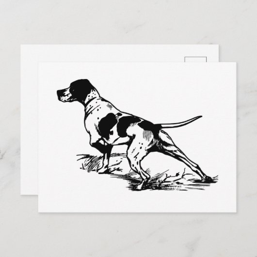 English Pointer Postkarte (Vorne/Hinten)