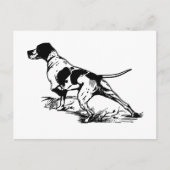 English Pointer Postkarte (Vorderseite)
