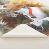 English Pointer Sherpadecke (3/4)