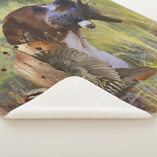 English Pointer Sherpadecke (3/4)