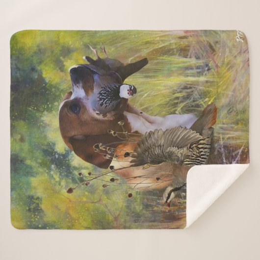 English Pointer Sherpadecke (Vorderseite (Horizontal))