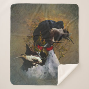 English Pointer Sherpadecke