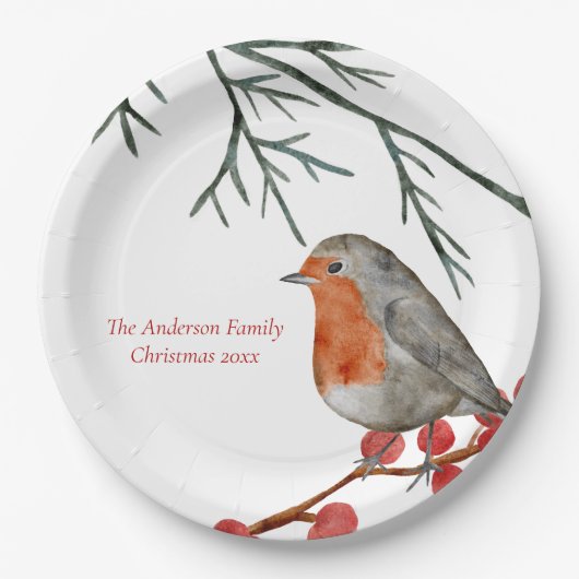 English RedBrustbrust Robin Bird Weihnachten Pappteller (Vorderseite)