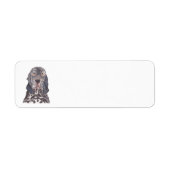 ENGLISH SETTER (Vorne)