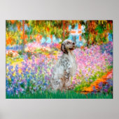English Setter 1 - Garten Poster (Vorne)