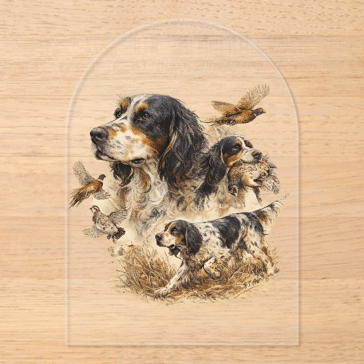 English Setter  Acryleinladungen (Vorderseite)