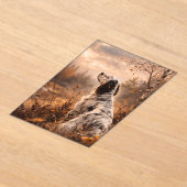 English Setter Acryleinladungen (Ablage )