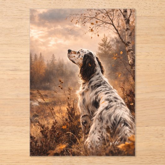 English Setter Acryleinladungen (Vorderseite)