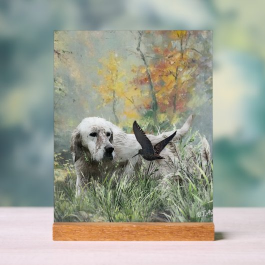 English Setter  Acrylschild (Neutral)