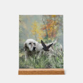 English Setter  Acrylschild (Vorderseite)