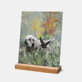 English Setter  Acrylschild (Winkel)