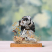 English Setter Acrylschild (Neutral)