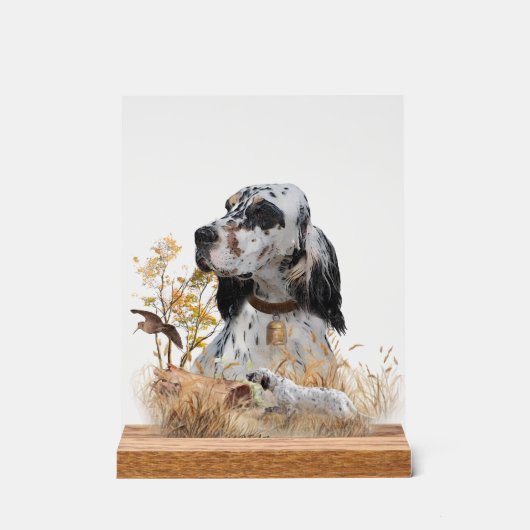 English Setter Acrylschild (Vorderseite)