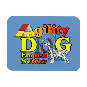 English Setter Agility Magnet