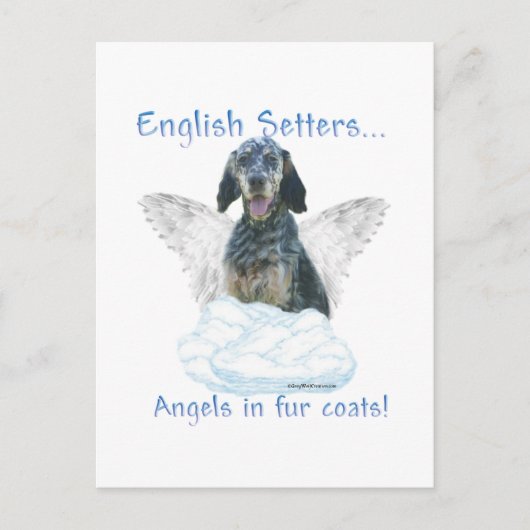 English Setter Angel Postkarte (Vorderseite)