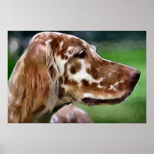English Setter Art Prints Poster (Vorne)