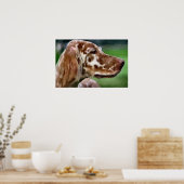 English Setter Art Prints Poster (Küche)