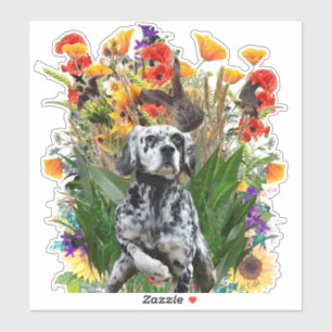 English Setter Aufkleber