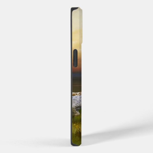 English Setter Case-Mate iPhone Hülle (Rückseite / Rechts)