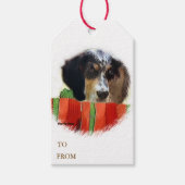 English Setter Christmas Geschenke Geschenkanhänger (Vorderseite)