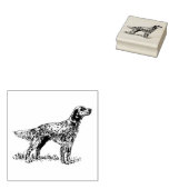 English Setter Dog Breed Gummistempel (Stempel)
