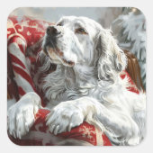 English Setter Dog Weihnachtsfest Quadratischer Aufkleber (Vorderseite)