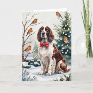English Setter Dog Weihnachtsgrüßkarte Karte