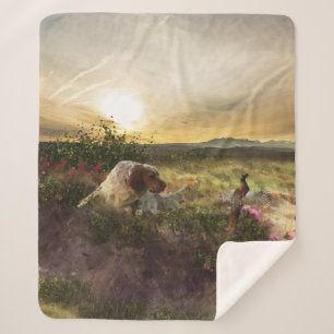 English Setter, Fasanenjagd  Sherpadecke