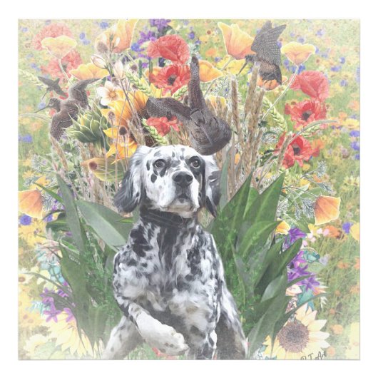 English Setter Fotodruck (Vorne)