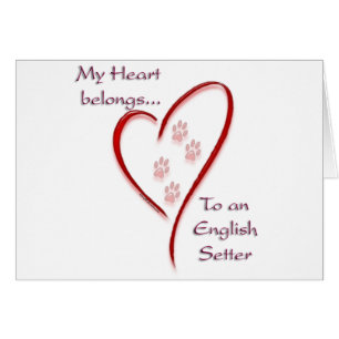 English Setter Heart Belongs