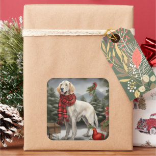 English Setter Hund im Schnee Weihnachten Quadratischer Aufkleber