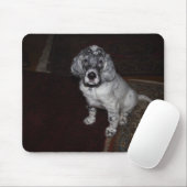 English Setter Mousepad (Mit Mouse)