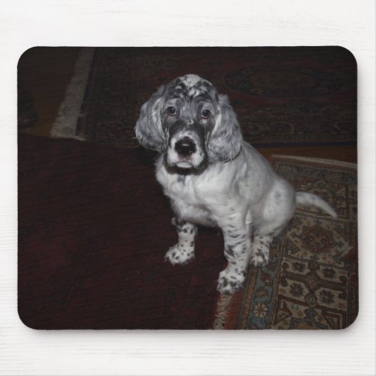 English Setter Mousepad (Vorne)