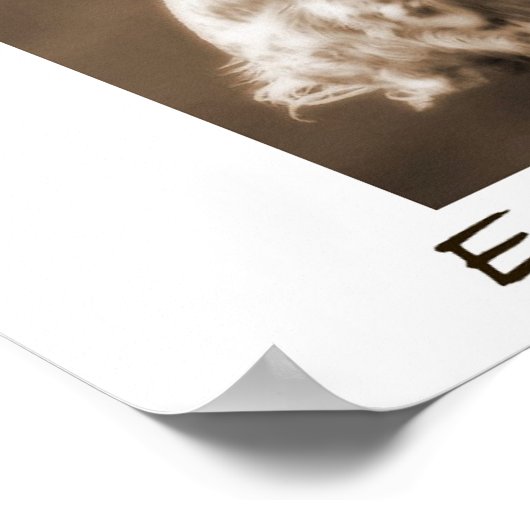 English Setter Poster (Ecke)