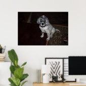 English Setter Poster (Heimbüro)