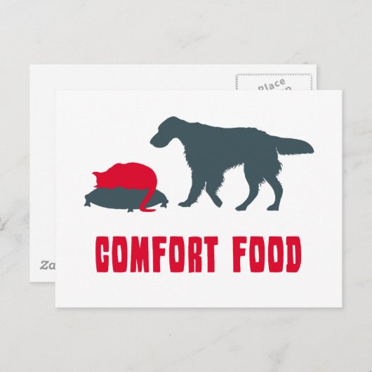 English Setter Postkarte (Vorne/Hinten)