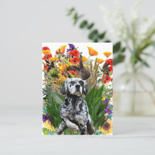 English Setter Postkarte