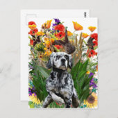 English Setter Postkarte (Vorne/Hinten)