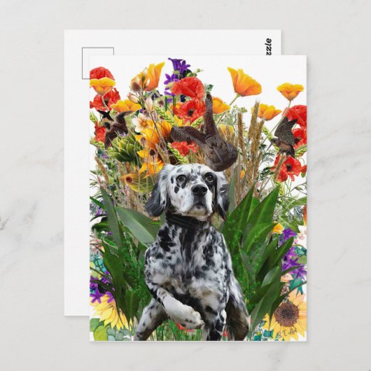 English Setter Postkarte (Vorne/Hinten)