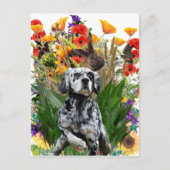 English Setter Postkarte (Vorderseite)