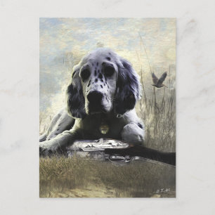 English Setter Postkarte
