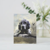 English Setter Postkarte (Stehend Vorderseite)