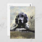 English Setter Postkarte (Vorne/Hinten)