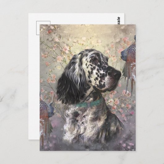 English Setter Postkarte (Vorne/Hinten)