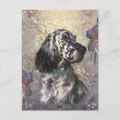 English Setter Postkarte (Vorderseite)