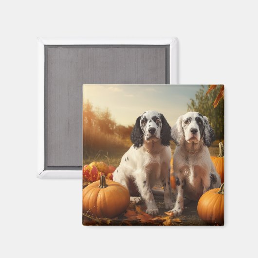 English Setter Puppy Autumn Delight Pumpkin Magnet (Vorderseite/Rückseite)