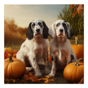 English Setter Puppy Autumn Delight Pumpkin Poster