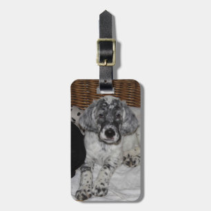 English Setter Puppy Gepäckanhänger